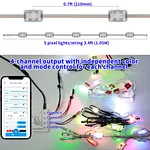 ws2811 pixel led